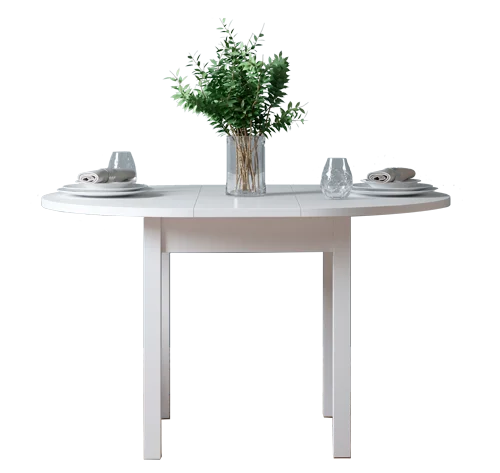 Comedor-Triauxi